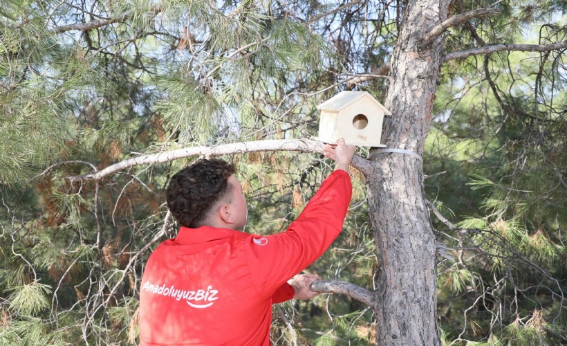 Kuş evleri yapıp, ağaçlara astılar; doğayı temizlediler