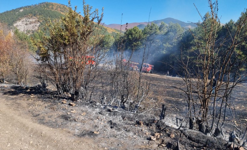 Kütahya'da anız yangını 1 saatte söndürüldü