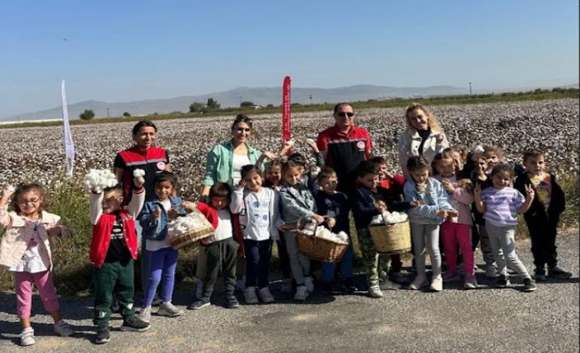 Menemenli minikler Pamuk hasatı yaptı