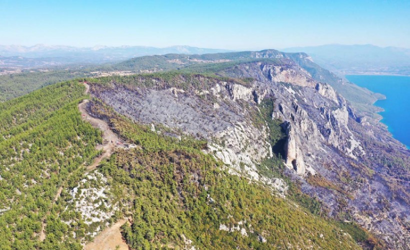 Muğla'daki orman yangınlarında 849 hektar alan kül oldu