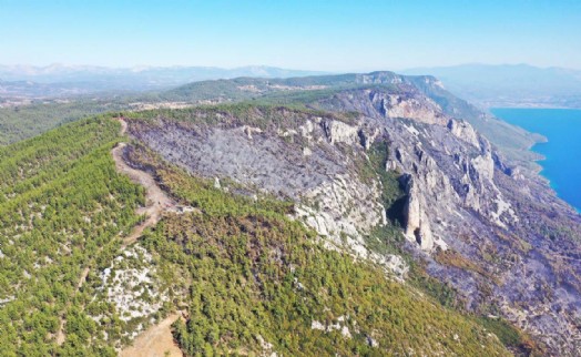 Muğla'daki orman yangınlarında 849 hektar alan kül oldu