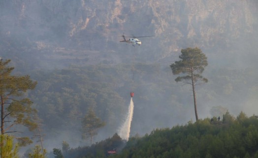 Muğla'da orman yangınına müdahale sürüyor