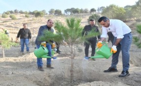 Başkan Yıldız’dan iklim krizine karşı yeşil adım: Kaybettiğimiz ormanları yeniden kazanacağız