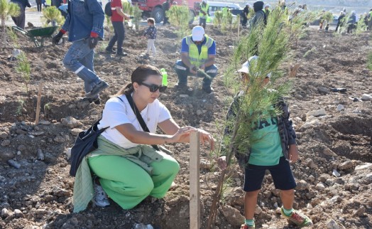 Eski Maden Sahası Rehabilitasyonu projesiyle 511 hektar doğaya kazandırılıyor