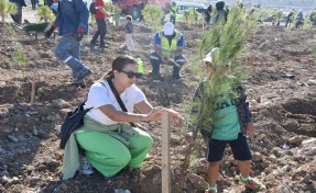 Eski Maden Sahası Rehabilitasyonu projesiyle 511 hektar doğaya kazandırılıyor