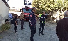 Evde çıkan yangında muhabbet kuşları ölen Cemre gözyaşlarına boğuldu