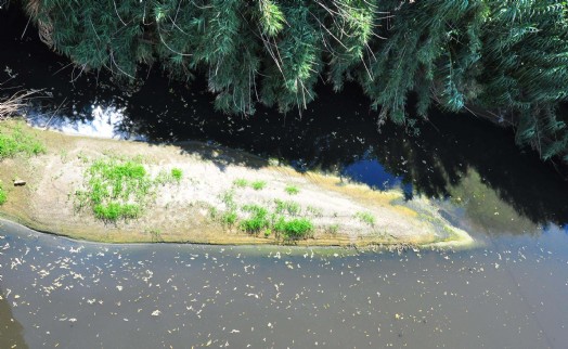 Gediz Nehri'nin kirliliğine çözüm bulunamıyor! Hem İzmir hem de Manisa etkileniyor