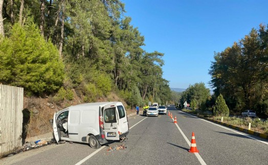 Kamyonet, istinat duvarına çarptı; 2 çocuk öldü, sürücü baba yaralı