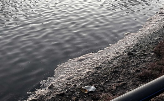 Muğla'da 'Tuzla Sulak Alanı' köpürdü