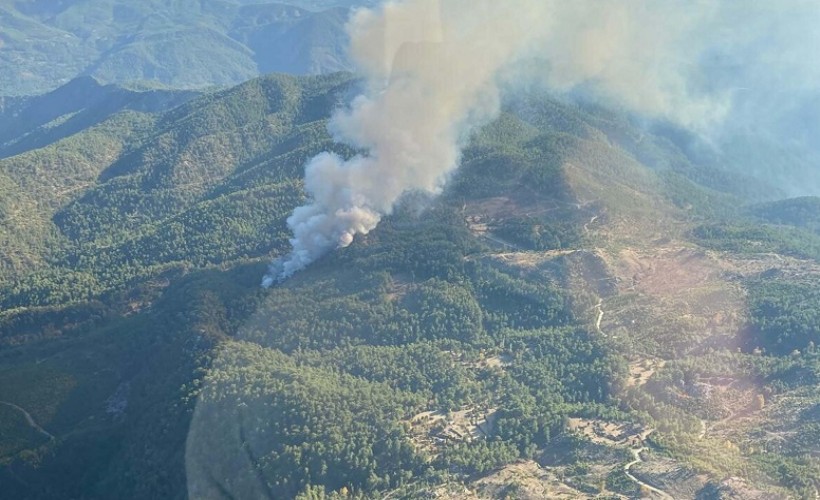 Muğla'da orman yangını kontrol altına alındı