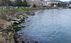 Ordu Belediyesi'nin 'ÇED gerekli değildir' kararına mahkemeden iptal