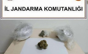 Ormanda 1 kilo skunk ele geçirildi; 3 gözaltı