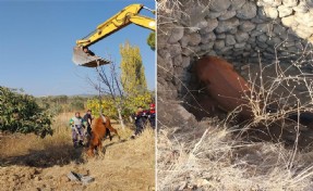 Su kuyusuna düşen yılkı atı kurtarıldı