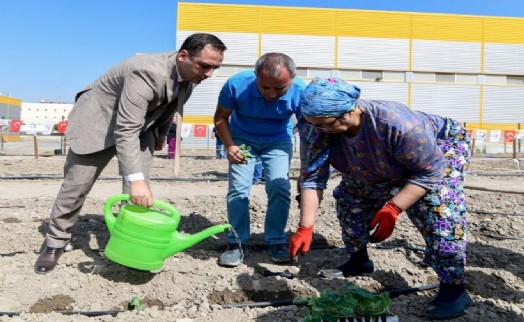 Bornovalı kadınlara toplumsal cinsiyet eşitliği eğitimi