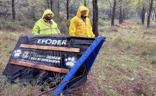 Buca’da atık malzemeler sokak hayvanları için yuvaya dönüşüyor