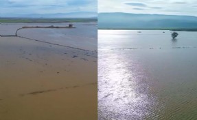 Büyük Menderes Nehri sağanak nedeniyle taştı, bölge dronla görüntülendi