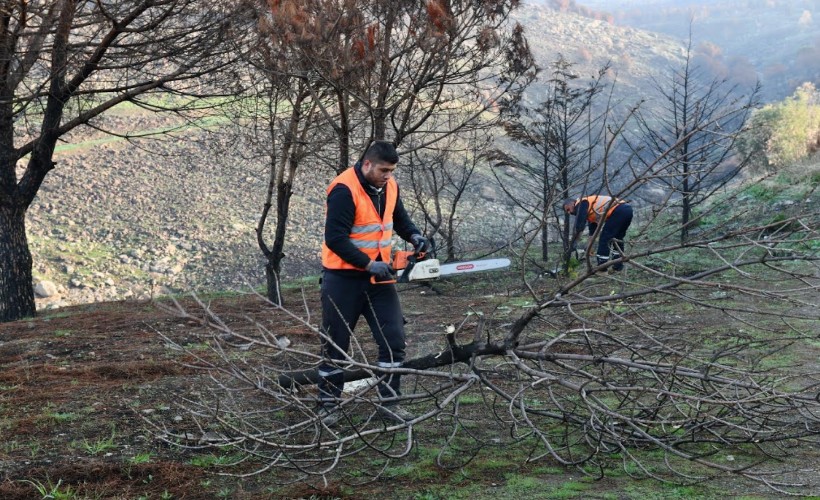 Çiğli Belediyesi orman yangınının izlerini silmek için seferberlik