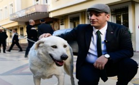 Başkan Eşki uyutmadı sahiplendi: Sokak köpeği 'Paşa’ya sıcak bir yuva