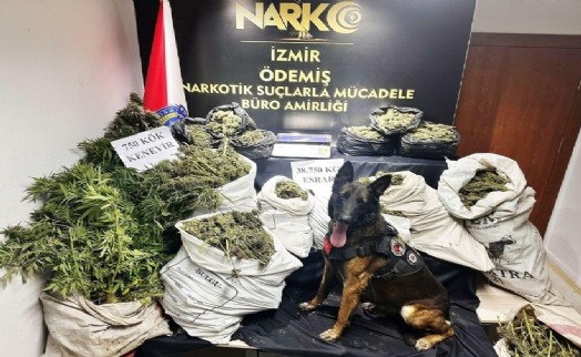 İzmir'de uyuşturucu operasyonu: 38 kilo 750 gram esrar ele geçirildi