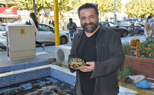 İzmirli fotoğrafçı, yılda 500 kaplumbağayı dükkanın önündeki havuzda besliyor