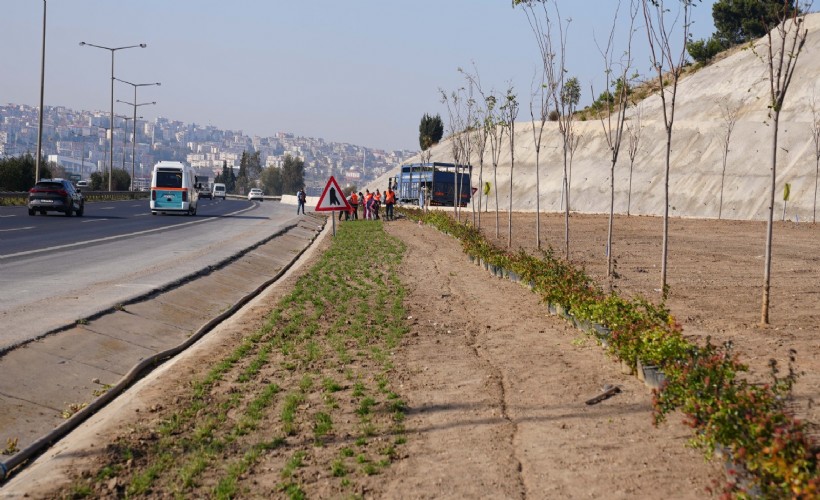 Kuraklığa karşı İzmir’in yeşil örtüsünde dönüşüm