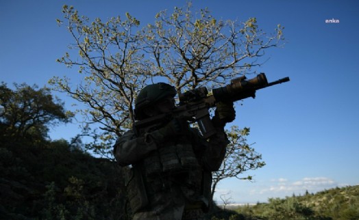 2 PKK’lı terörist teslim oldu