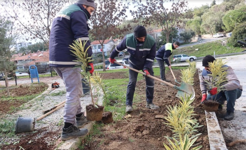 Bornova’da parklara yeni bitkiler dikiliyor