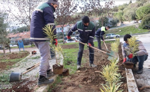 Bornova’da parklara yeni bitkiler dikiliyor