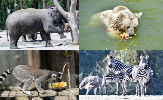 Doğal Yaşam Parkı’na pazartesi molası