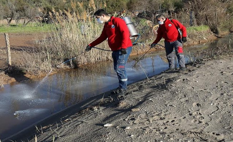 Menderes’te larva mücadelesi