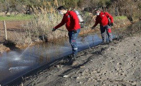 Menderes’te larva mücadelesi