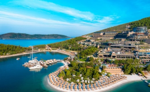 Yanan alana otel, ormanlık alana villa