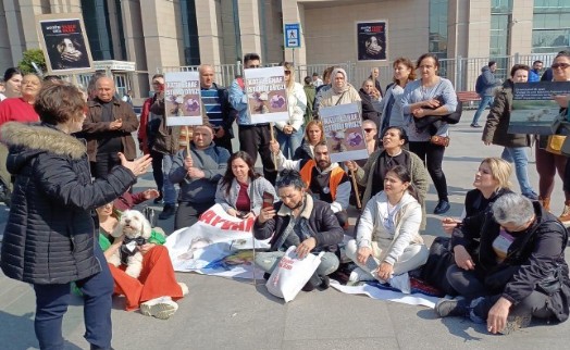 'Kedi katili Fatih Mehmet Öztürk davası' ertelenmesine oturma eylemi