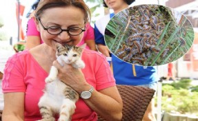 Karşıyaka Belediyesi’nden can dost sahiplerine hayati uyarı!