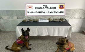 Yolcunun üzerindeki uyuşturucuyu narkotik köpekleri 'Azot' ve 'Dem' buldu