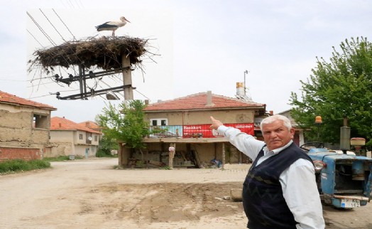 Beton direk 17 yıldır leyleklerin yuvası