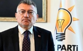 AK Parti'den açıklama: Kuduz tehlikesi olan uyutulacak!