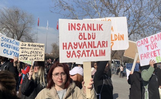 AK Parti'nin 'hayvan hakları yasa teklifi' hazırlanıyor: ‘Uyutma’ gündemde!