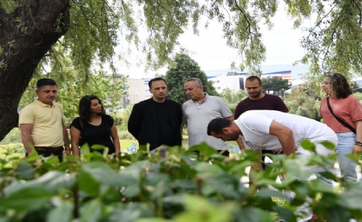 Bornova’nın parkları rengarenk olacak