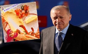 Erdoğan'dan 'ıstakoz'  tepkisi
