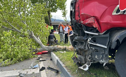 Sürücüsü direksiyon başında uyuklayan TIR, ağaca çarparak durabildi