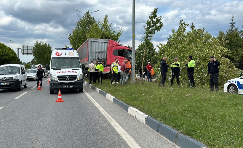 Sürücüsü direksiyon başında uyuklayan TIR, ağaca çarparak durabildi