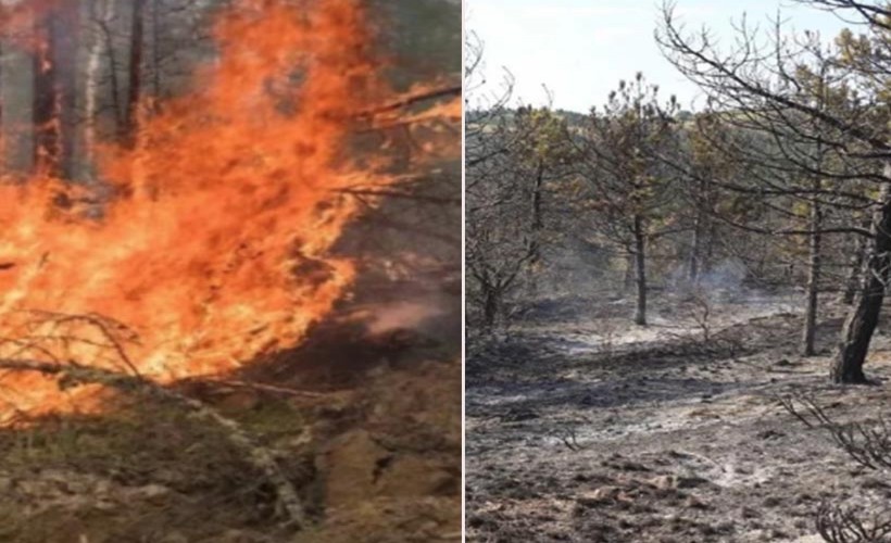 Torbalı'da orman yangını: 30 dönüm kül oldu!