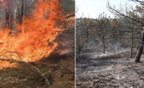 Torbalı'da orman yangını: 30 dönüm kül oldu!