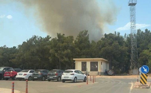 Antalya'da orman yangını