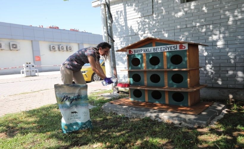 Bayraklı'da can dostlar için ‘bir kap su’ çağrısı