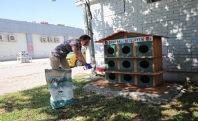 Bayraklı'da can dostlar için ‘bir kap su’ çağrısı