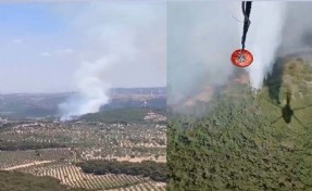 Bergama'da orman yangını! 2,5 saatte kontrol altına alındı