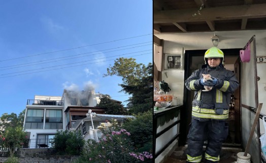 Bodrum'da itfaiye, villada çıkan yangında kedileri kurtardı