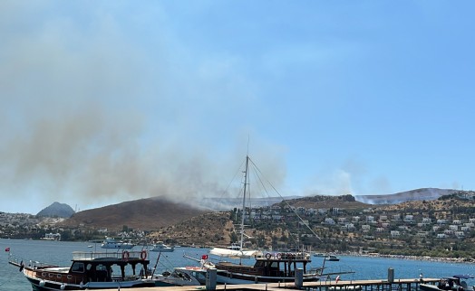 Bodrum'da ot yangını